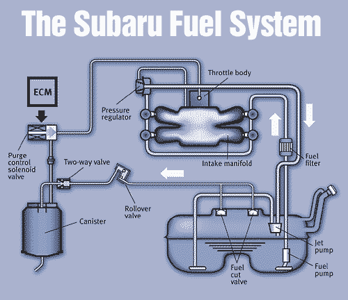 Diagram In Pictures Database Subaru Forester Evap System Diagram Just Download Or Read System Diagram Online Casalamm Edu Mx